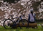 3月27日 「飛鳥ポタ」