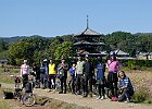 11月4日 ゆるゆるCC「ミニベロオフ法起寺コスモスライド」