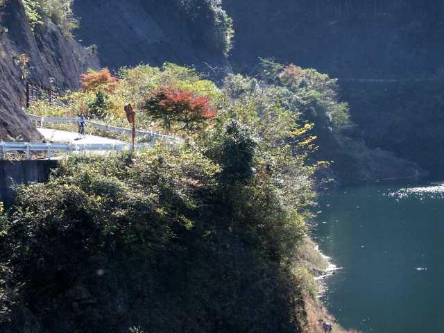 hachisu