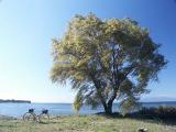 biwako.jpg