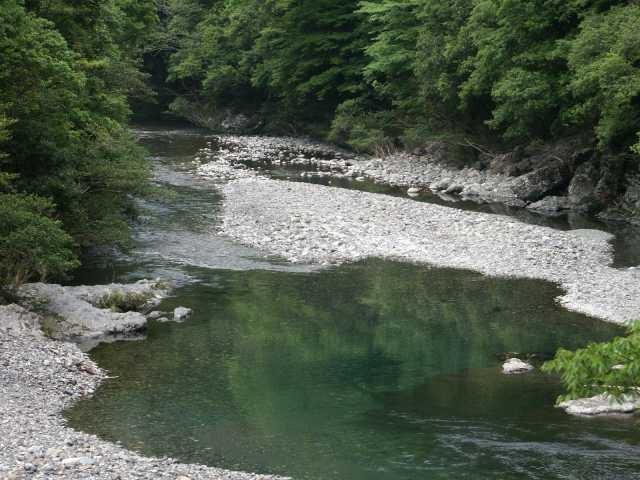 kogawa_2