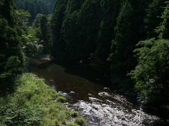 mito_1
