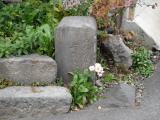 安茂里村